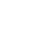 emergency paw icon